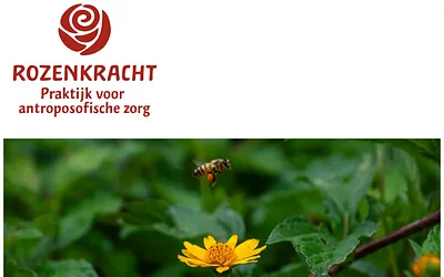 rozenkracht.nl snapshot
