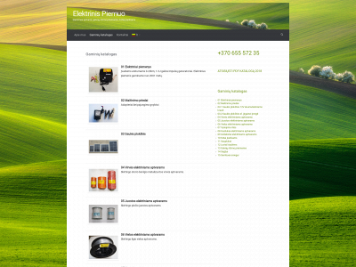 elektrinispiemuo.lt snapshot
