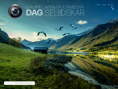 selboskar.com snapshot