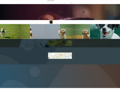 thedogsunleashed.com snapshot