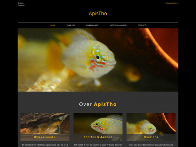 apistho.nl snapshot