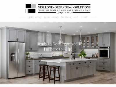 www.stalloneorganizingsolutions.com snapshot