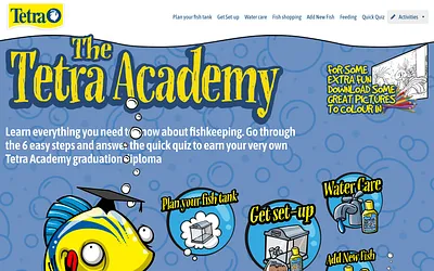 tetraacademy.co.uk snapshot