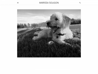 marissasoligonart2-d.weebly.com snapshot