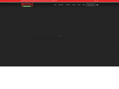 bruninas.com snapshot