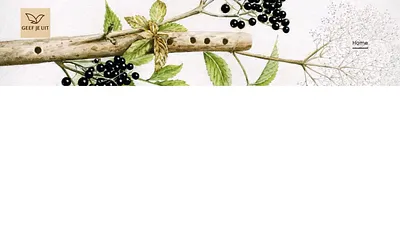 geefjeuit.nl snapshot