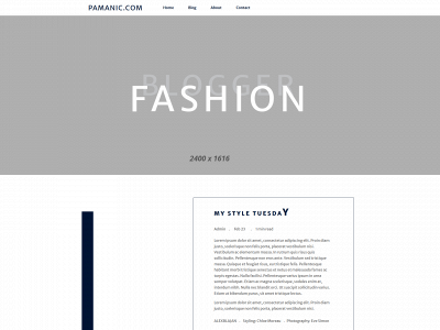 pamanic.com snapshot