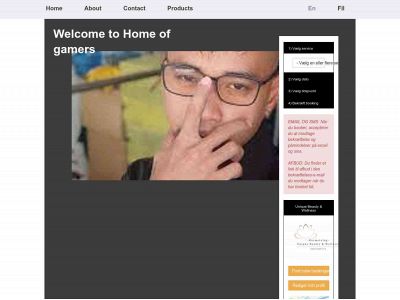 lazytutorials.org snapshot