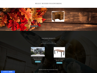 mildlymodern.weebly.com snapshot