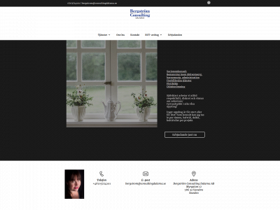 bergstromconsultingdalarna.se snapshot