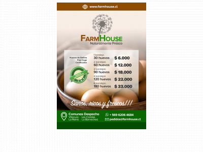 farmhousechile.com snapshot