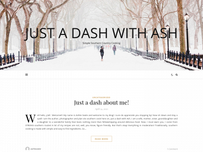 justadashwithash.com snapshot