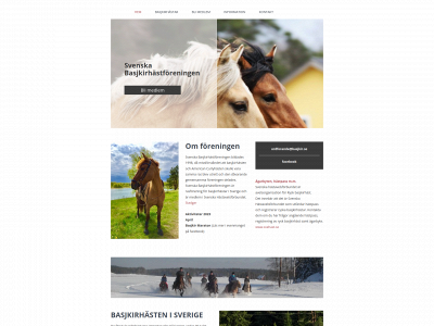 basjkir.se snapshot