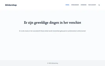 blinkershop.nl snapshot
