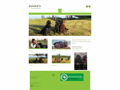 ewokes.se snapshot