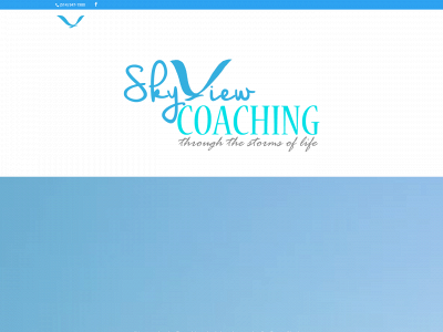 skyviewcoaching.com snapshot