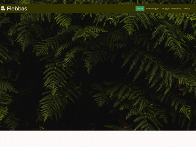 flebbas.nu snapshot