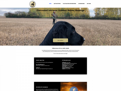frkskaneblekinge.se snapshot