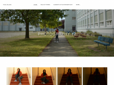 fizajelani12.weebly.com snapshot