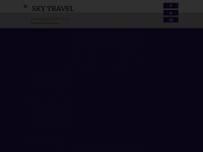 skytravelconsulting.com snapshot