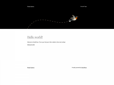 risqueagency.com snapshot