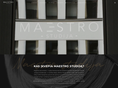 maestrostudija.lt snapshot