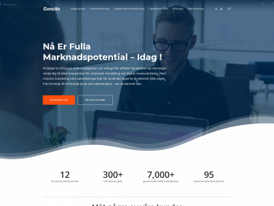 concito.consulting snapshot