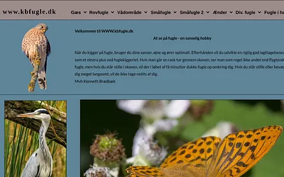 kbfugle.dk snapshot