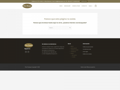 pilarpaneque.com snapshot