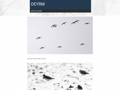 deyrm.com snapshot