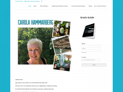 carolahammarberg.se snapshot