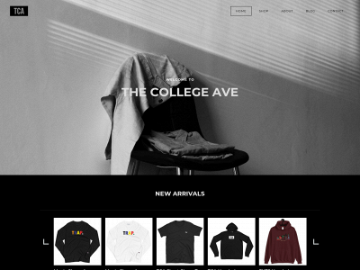 thecollegeavenue.weebly.com snapshot