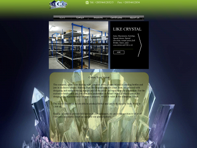 mc-glass.com snapshot