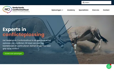 conflictinstituut.nl snapshot