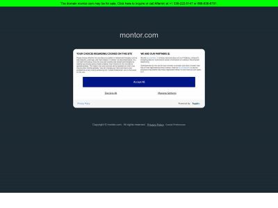 montor.com snapshot