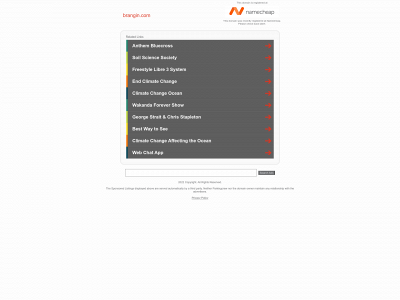brangin.com snapshot
