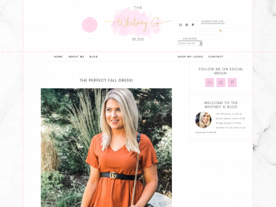 thewhitneygblog.com snapshot