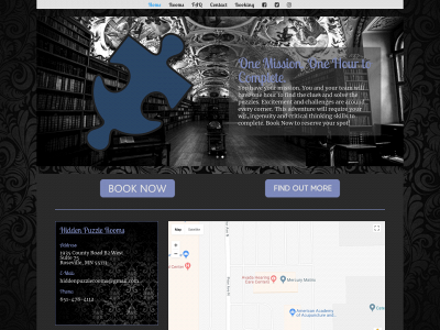 hiddenpuzzlerooms.com snapshot