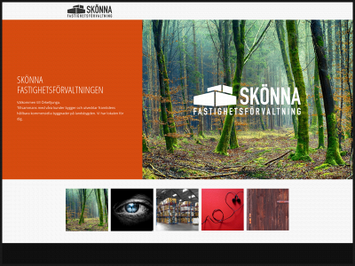skonnafast.se snapshot