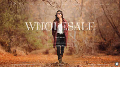 olgynwholesale.com snapshot