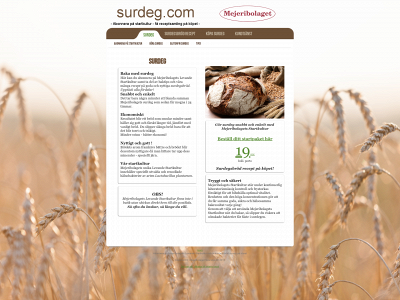 surdeg.com snapshot