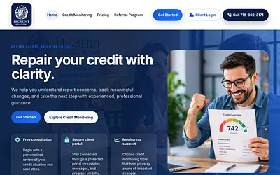 licreditsolutions.com snapshot