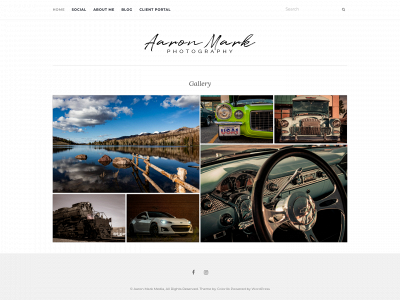 aaronmarkmedia.com snapshot