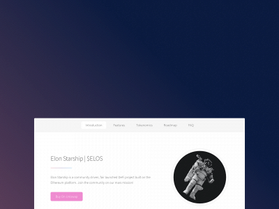elonstarship.io snapshot