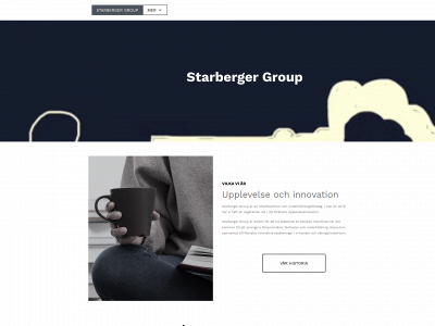 starbergergroup.com snapshot
