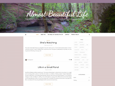 almostbeautifullife.com snapshot