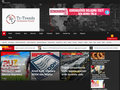 trtrends.com snapshot