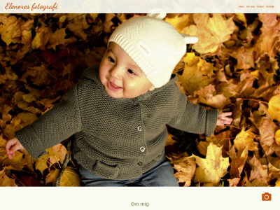 elenorehenriksson.se snapshot