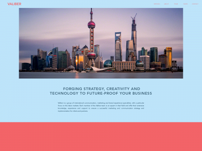 valibergroup.com snapshot