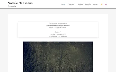 valerienaessens.be snapshot